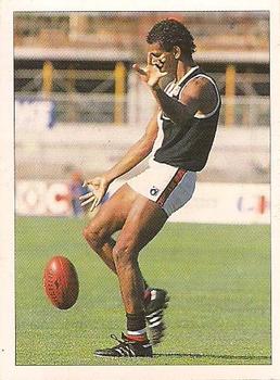 1992 Select AFL Stickers #206 Gilbert McAdam Front